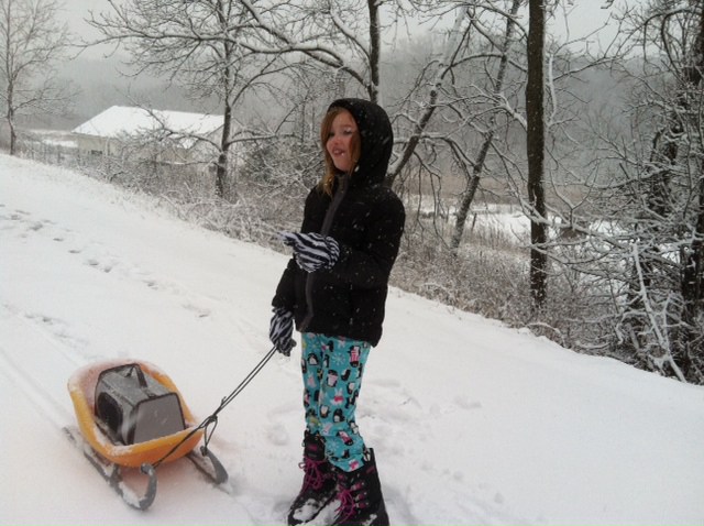 bunny sleigh ride