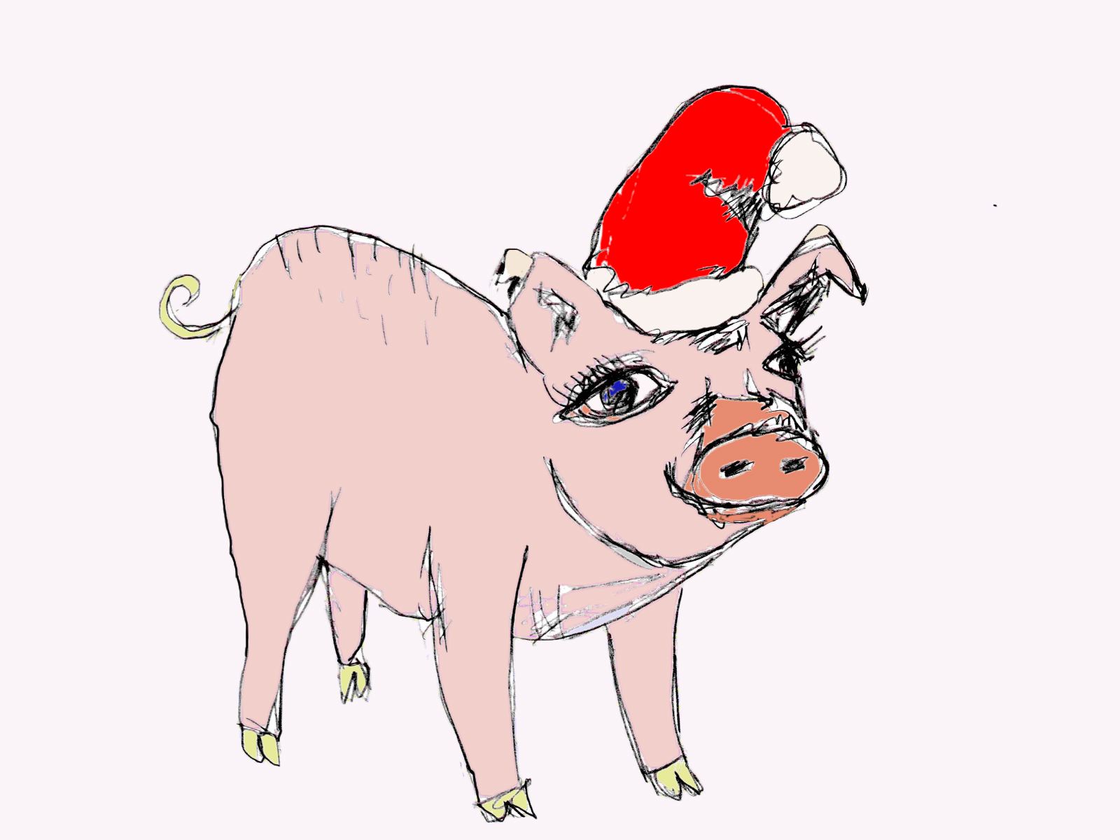 Christmas PIg by shoshanah marohn